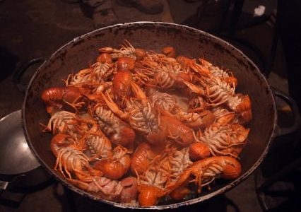 ザリガニ丼の画像がコレ！　味、評判、値段は？　中国吉野家の新商品が話題！
