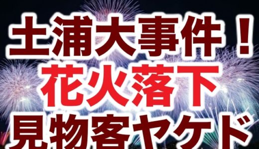 【恐怖映像】土浦花火大会で見物客が花火落下事故で火傷！パニック動画がヤバイ
