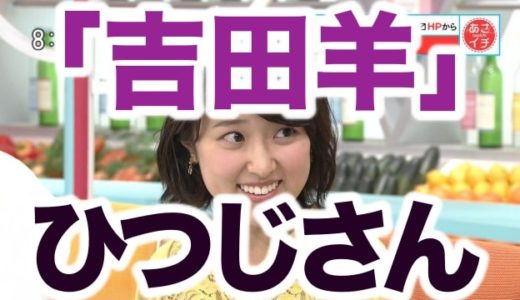 【動画】吉田羊キレる？近江友里恵が「ひつじさん」と誤読！空気が怖すぎる【NHKあさイチ】